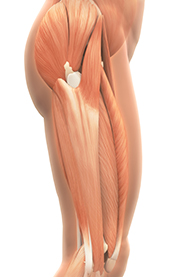 Side View Of Patient With Iliotibial Band Syndrome